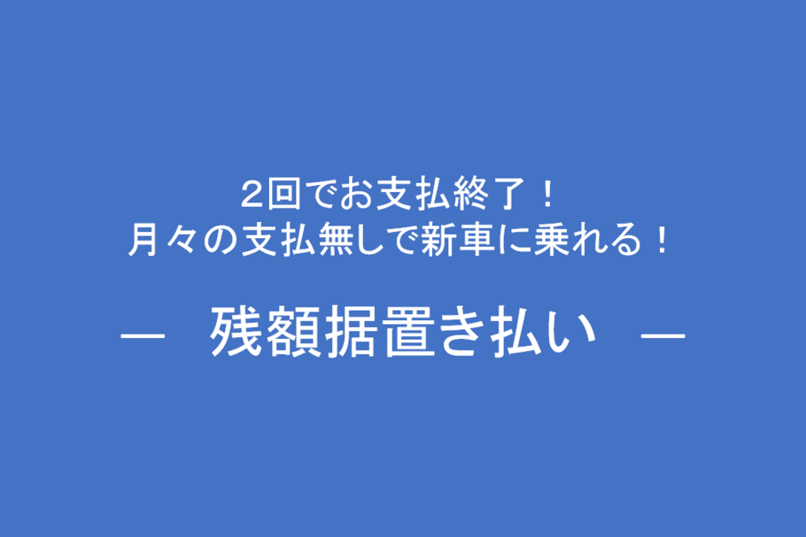 賢い買い方ランディングページ ネッツトヨタ苫小牧