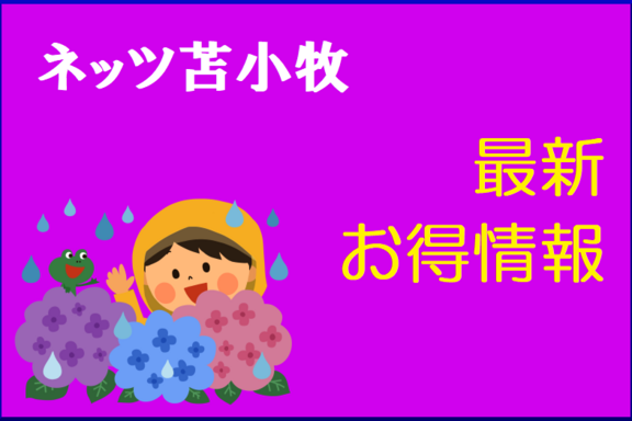 6月_お得情報