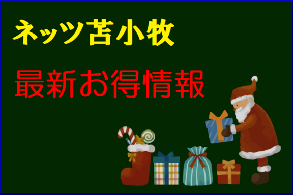 12月_お得情報
