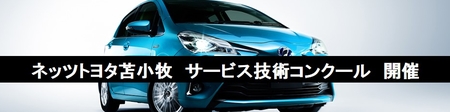 carlineup_vitz_top_pic_01_01_pc